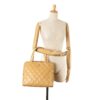 Chanel CC Wild Stitch Handbag