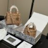 DIOR Lady Dior Handbag