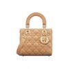 DIOR Lady Dior Handbag