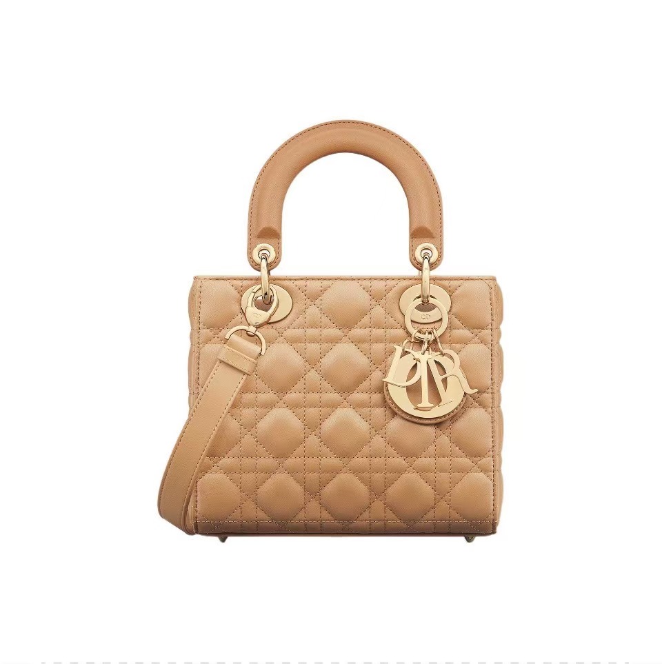 DIOR Lady Dior Handbag