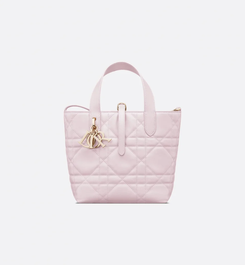 Small Dior Toujours Vertical Tote Bag