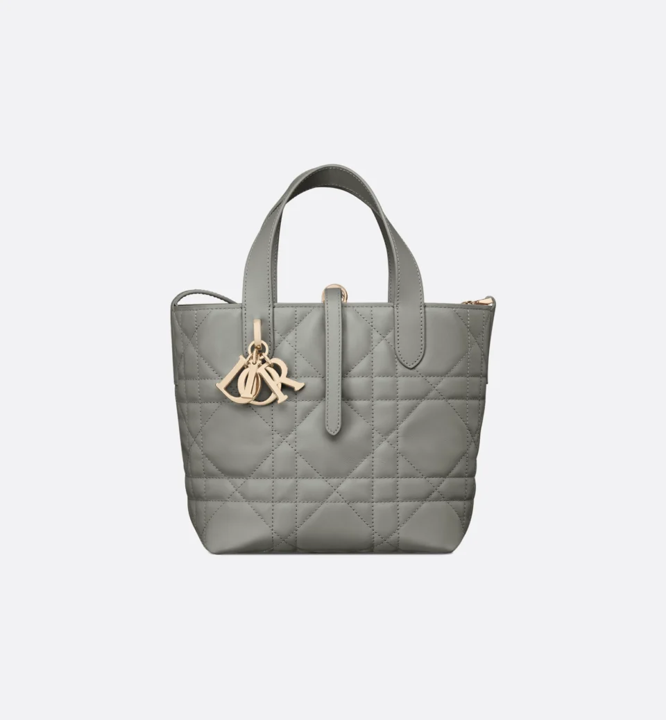 Small Dior Toujours Vertical Tote Bag