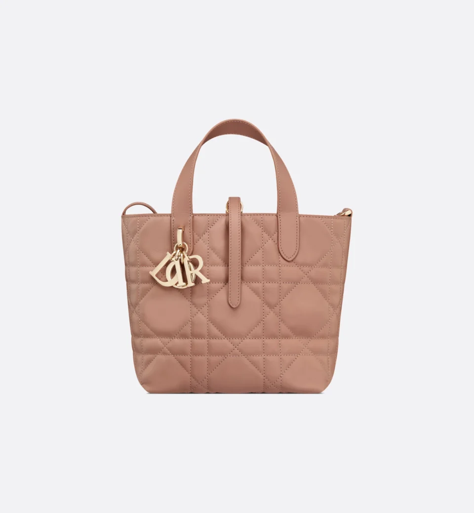 Small Dior Toujours Vertical Tote Bag