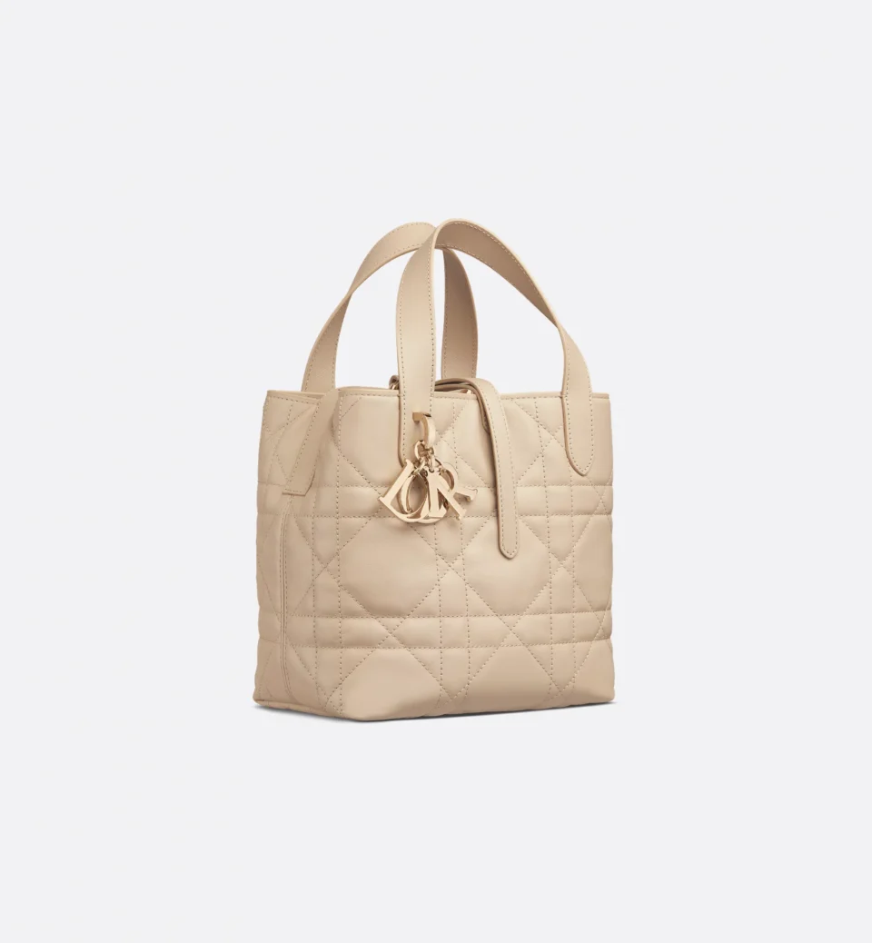 Small Dior Toujours Vertical Tote Bag