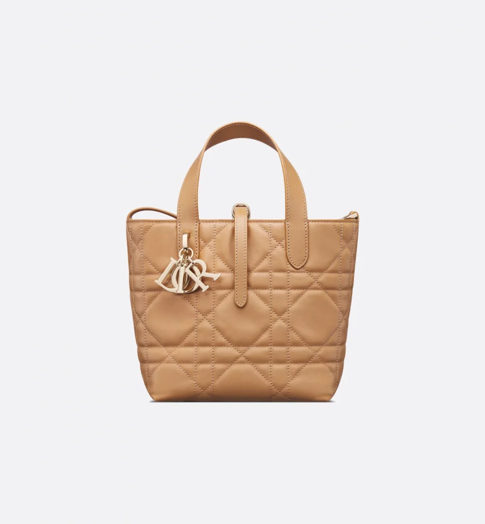 Small Dior Toujours Vertical Tote Bag