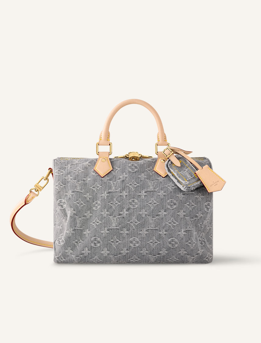 Louis Vuitton Speedy Soft 30