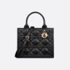 Small Dior Book Tote
