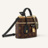 Louis Vuitton Vanity Chain Pouch