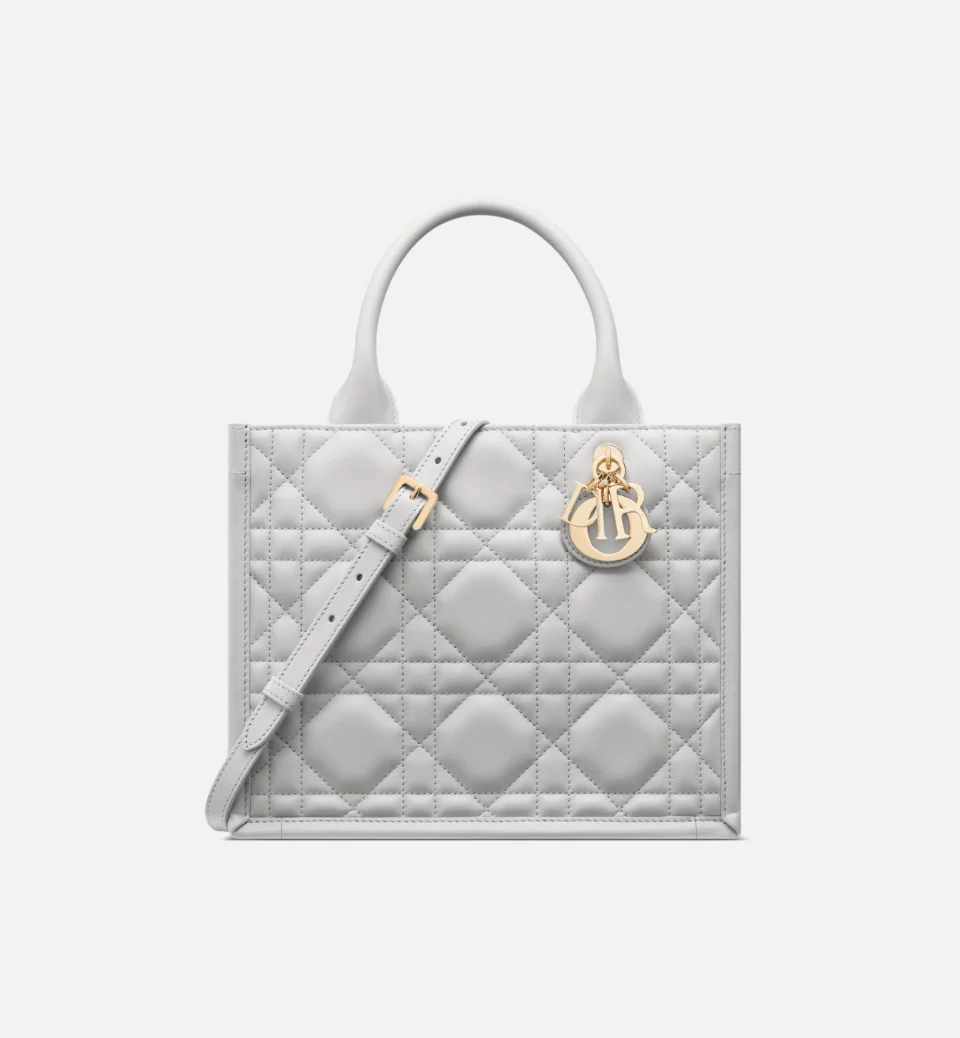 Small Dior Book Tote
