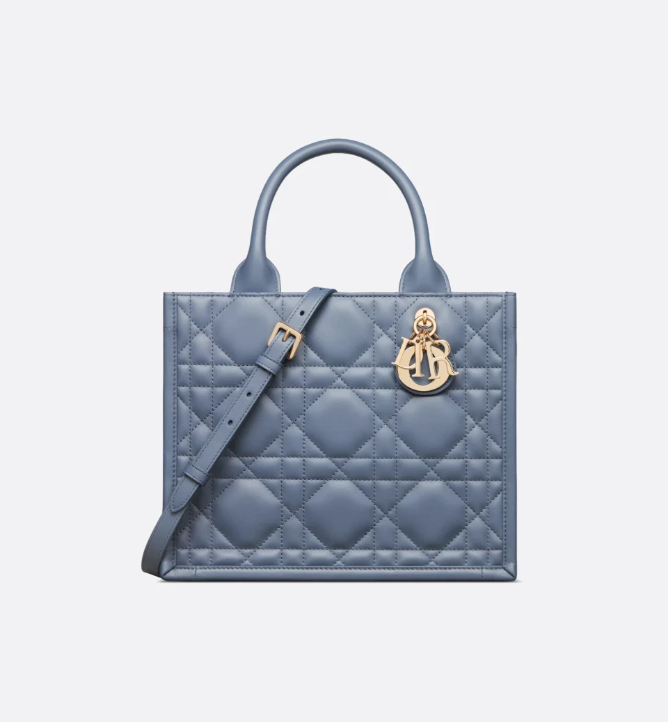 Small Dior Book Tote