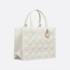 Medium Dior Book Tote