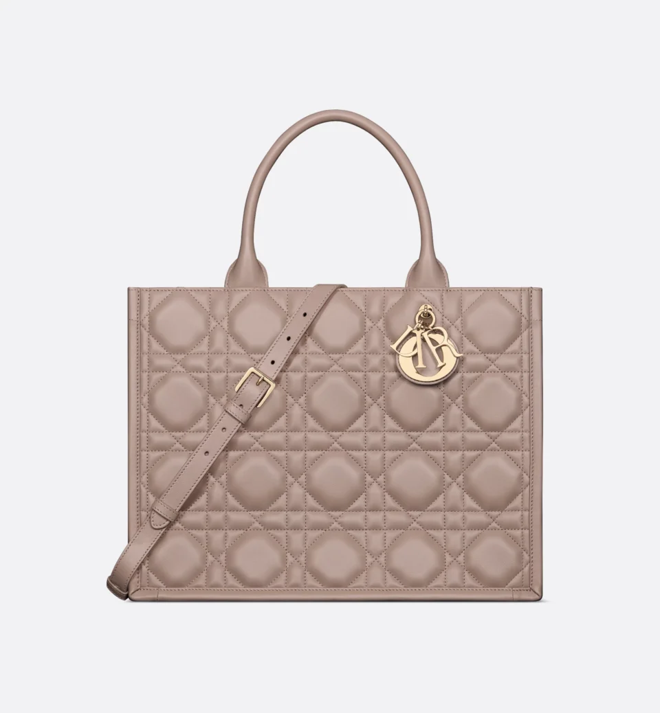 Medium Dior Book Tote