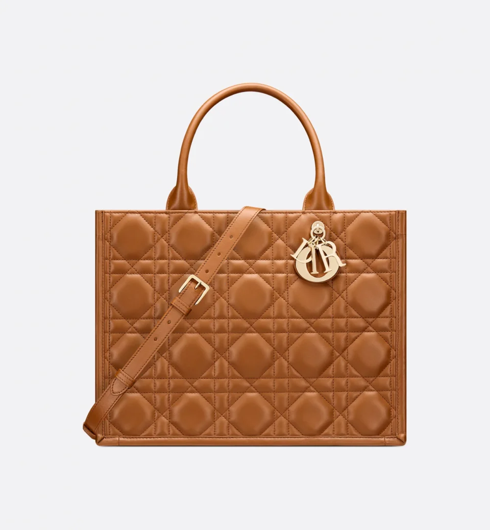 Medium Dior Book Tote