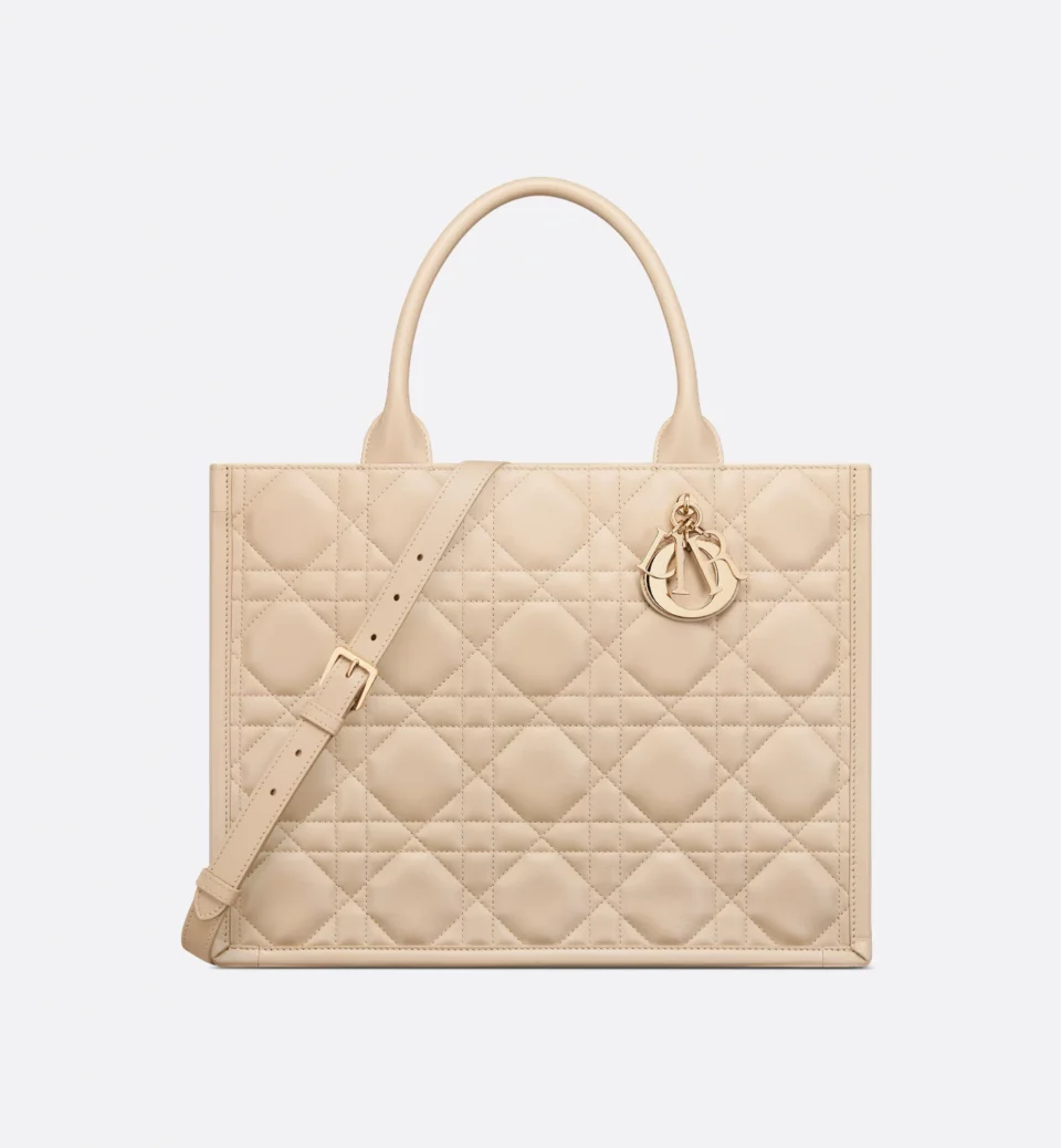 Medium Dior Book Tote